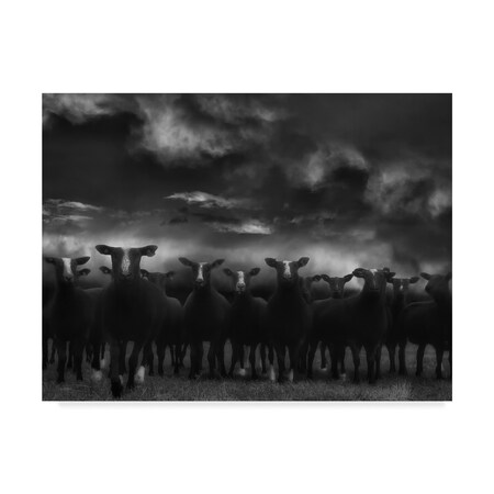 Trademark Fine Art Yvette Depaepe 'Looking For A Shelter' Canvas Art, 18x24 1X06967-C1824GG
